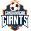 Gandhinagar Giants - Team Gandhinagar Giants 385960 Scores
