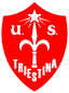 Triestina U19 - Team Triestina U 333567 Sport