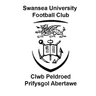 Swansea University - Live Team Llanelli 303641