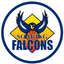 Adamson Falcons - Team Adamson Falcons 329448 Football Score