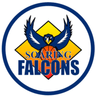 Adamson Falcons - Team Feu Tamaraws 327499 Football Score