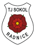 TJ Sokol Radnice - Radnice VS Fc Tachov Score