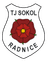 TJ Sokol Radnice - Team Fc Tachov 315957 Football Live