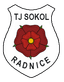 TJ Sokol Radnice - Team Tj Sokol Radnice 350201 Football Live