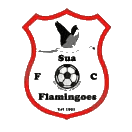 Sua Flamingoes