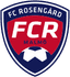 FC Rosengard Women - Swe Womens Cup 31956 Live Score