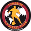 Synergy FC - Team Synergy Fc 328278 Live Score