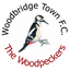 Woodbridge Town - Team Woodbridge Town 349575 Football Result