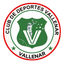 Deportes Vallenar - Team Deportes Vallenar 320031 Live Result