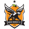 Nova Iguacu U20 - Team Cr Flamengo Rj Youth 298025 Football