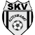 SKV Altenmarkt Women - Team Skv Altenmarkt Women 321849 Football Live
