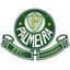 Palmeira RN - Team Palmeira Rn 321808 Live Score Today