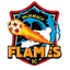 Palm Beach Flames - Team Palm Beach Flames 348914 Live Score