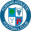 Forfar Athletic FC - Team Forfar Athletic Fc 300049 Football Result