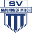 Gmundner - Team Gmundner 326640 Football Live Score