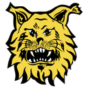 Ilves Tampere II - Ii VS Kiffen Helsinki Live