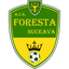 ACS Foresta Suceava - Team Acs Foresta Suceava 318709 Live Score Today