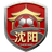 Shenyang Team - Team Tongliao Team 384941 Live Score