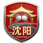 Shenyang Team - Ncfl 36765 Live Score