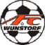 Fc Wunstorf - Team Fc Wunstorf 313765 Live Score
