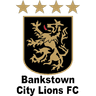 Bankstown City Lions - NBA Prediction