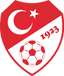 Turkiye U20 - Team Turkiye U 309467 Football Score