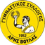 Aris Voulas FC - Gre Amateur Cup 33093 Live Result