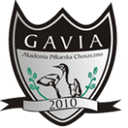 Gavia Choszczno - Bobolice VS Gavia Choszczno Live Score