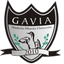 Gavia Choszczno - Team Gavia Choszczno 374182 Live Score Today