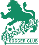 Green Gully U23 - U VS Green Gully U Live Score