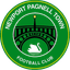 Newport Pagnell Town - Team Newport Pagnell Town 311518 Live Football