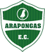 Arapongas EC - Team Arapongas Ec 355544 Result