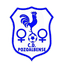 CD Pozoalbense Women - Team Cd Pozoalbense Women 338517 Live