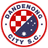 Dandenong City SC - Team Heidelberg United 298692 Live Score