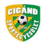 Cigand SE - Team Kazincbarcika 299522 Live Football