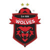 Wollongong Wolves U20 - U VS Unsw Fc U Live Score