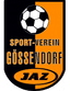 SV Gossendorf Youth - Team Sv Gossendorf Youth 343995 Live Score
