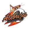 Alebrijes de Oaxaca II - Ii VS Aguacateros Cdu Live Score