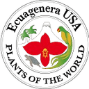 Ecuagenera - Libertadores  VS Ecuagenera Sport