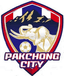 Pakchong City FC - Team Pakchong City Fc 346395 Live Score Today