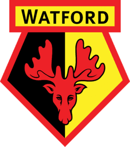 Watford U21 - Player Nokosun 864775 321065 Live Score