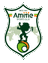 Amitie FC - Sen Ligue 33196 Football Live