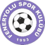 Feneryolu - Team Feneryolu 367118 Football Live Score