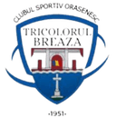 CS Tricolorul Breaza - Baicoi VS Cs Tricolorul Breaza Live Score