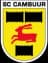 SC Cambuur Youth - Team Fc Zwolle Youth 314436 Live