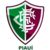 Fluminense PI Youth - Youth VS Ca Piauiense U Live Score