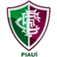 Fluminense PI Youth - Team Fluminense Pi Youth 319416 Results