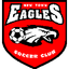 New Town Eagles - Team New Town Eagles 298717 Live Score Today