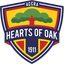Accra Hearts of Oak - Team Accra Hearts Of Oak 306996 Live Result
