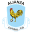 Alianza Cutral Co - Team Alianza Cutral Co 316340 Football Live Score